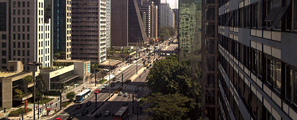 Networking, comités sectoriales, encuentros, foros, seminarios y asesoramiento