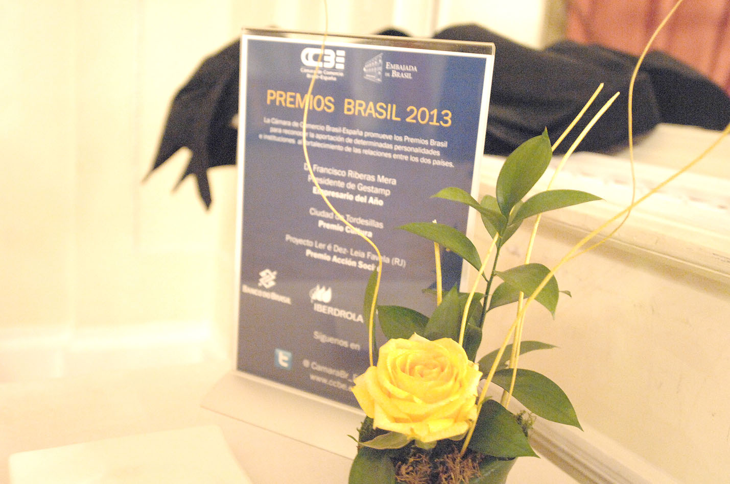 Premios Brasil 2013