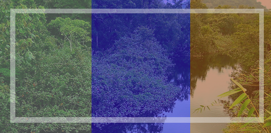 Seminario Hispano-Brasileño de Medio Ambiente, Ecología y Turismo sostenible