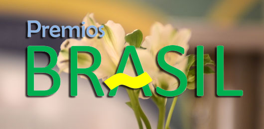 Nueva gala de entrega de los Premios Brasil de la CCBE