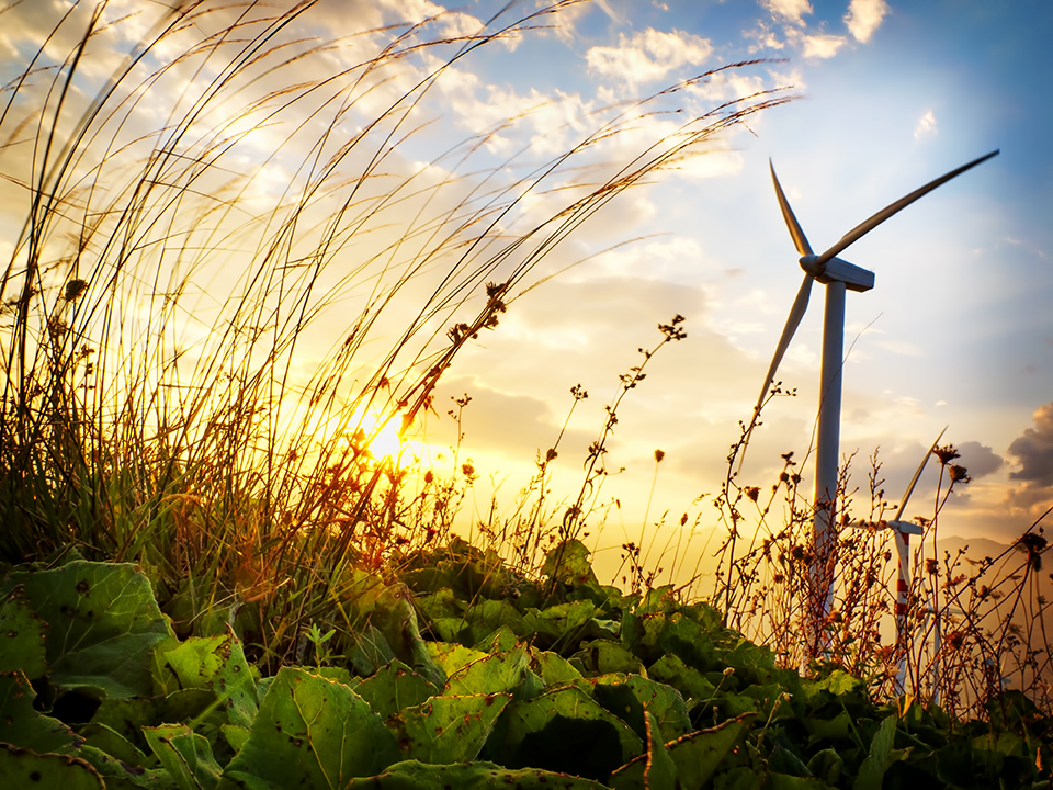 Neoenergía ha lanzado bonos “verdes” por un valor de 345 millones de dólares