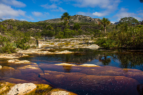 El Ministerio de Minas y Energía de Brasil quiere ofrecer bloques de exploración de tierras de petróleo y gas
