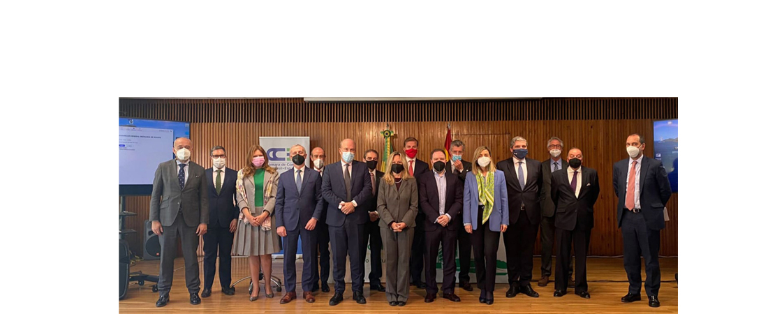 Asamblea General de Socios CCBE 2021
