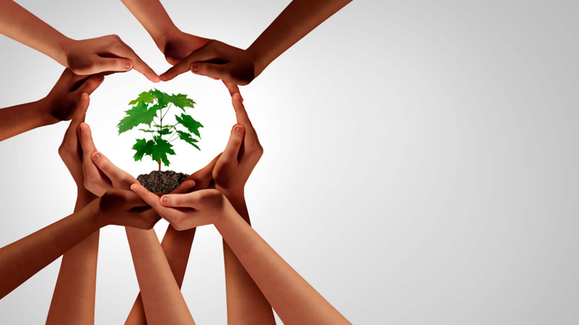 Cambio Climático y Transición Energética: desafíos y oportunidades