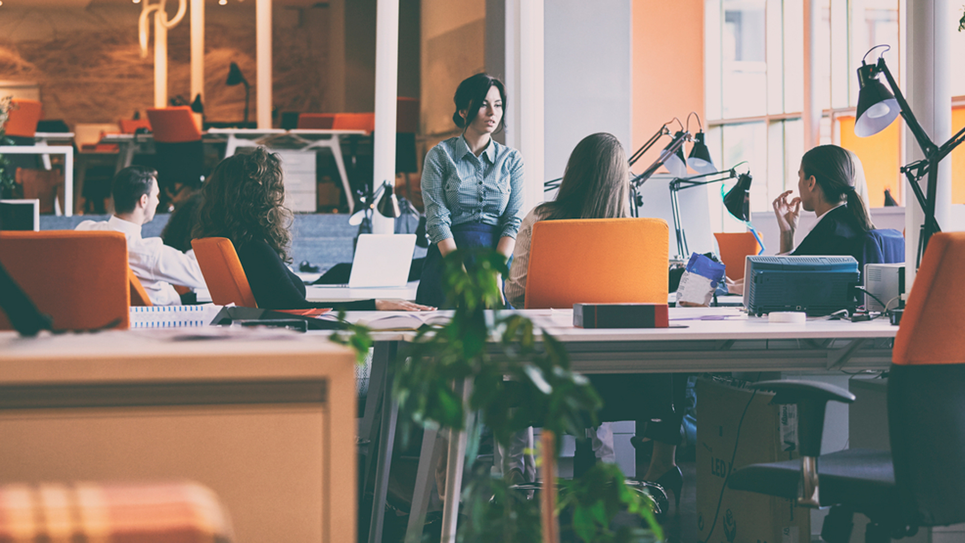 La nueva ley de Startups española