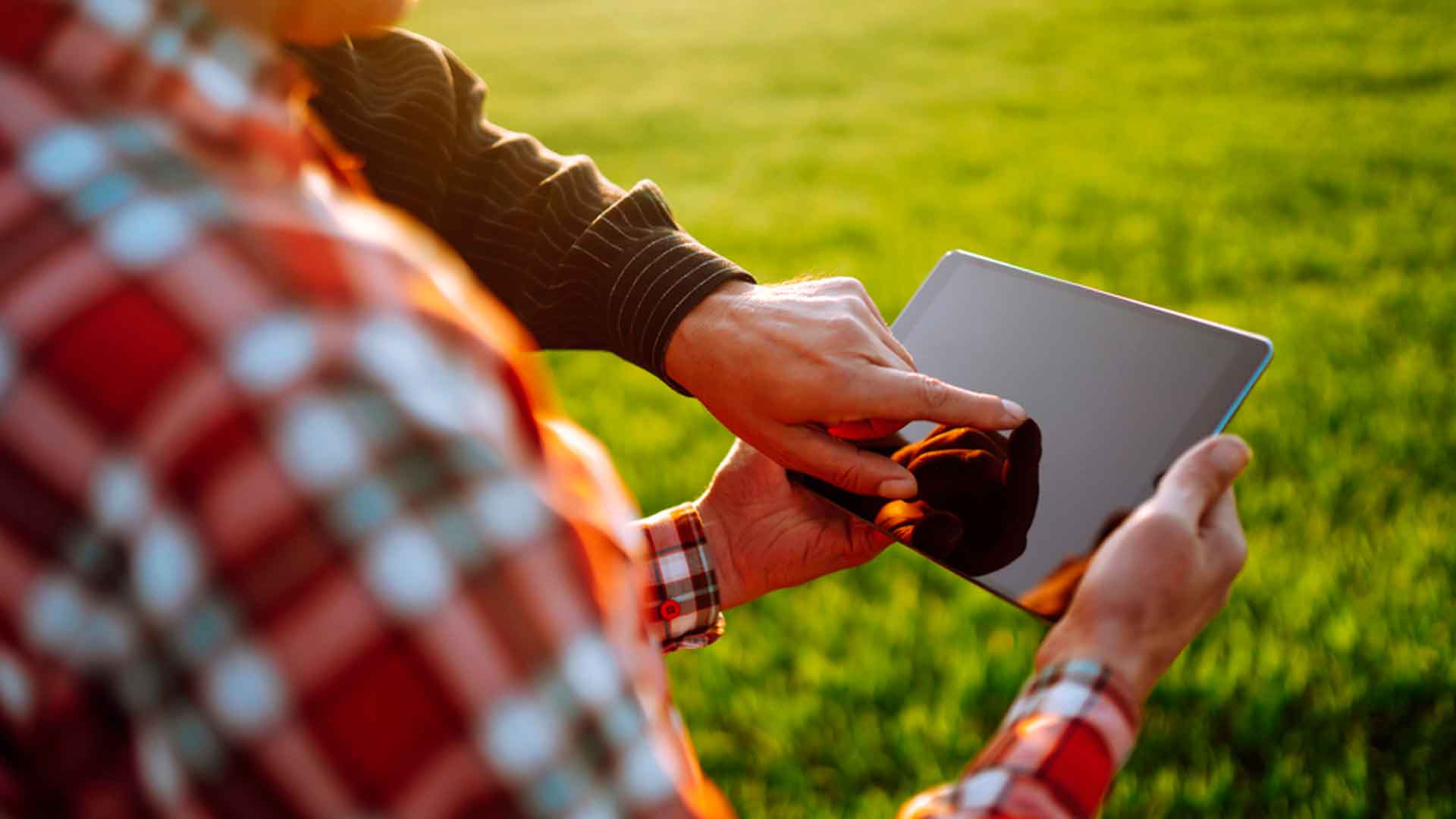 Agritalks, el futuro del agronegocio