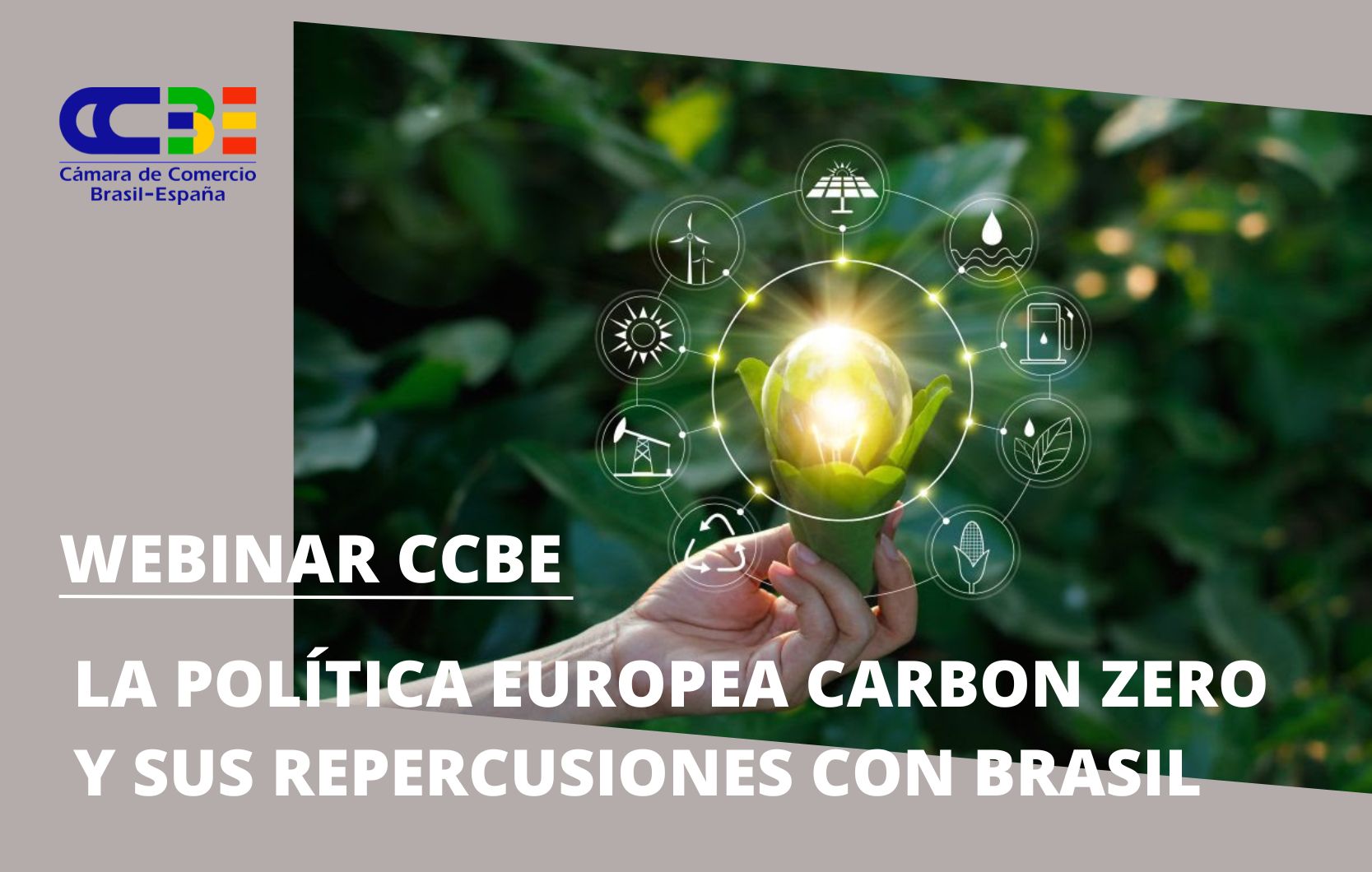 Webinar: La política europea Carbón Zero y sus repercusiones con Brasil