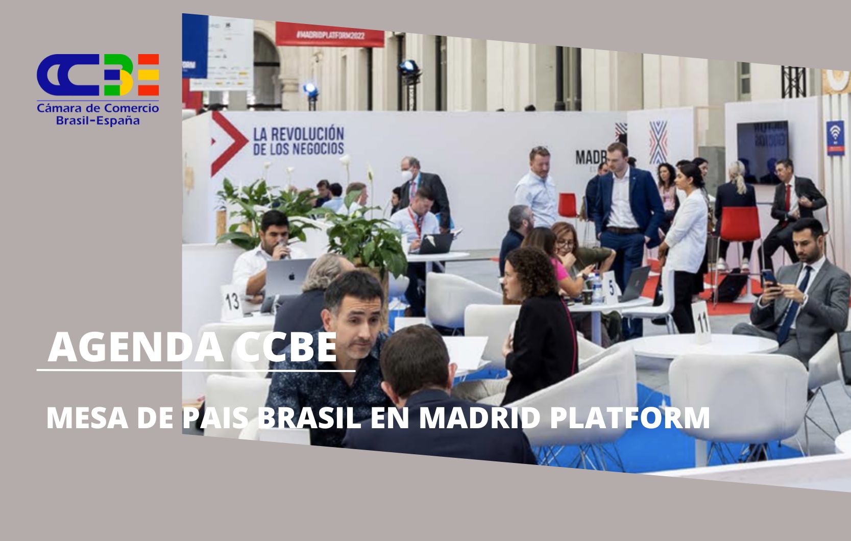 CCBE en MADRID PLATFORM