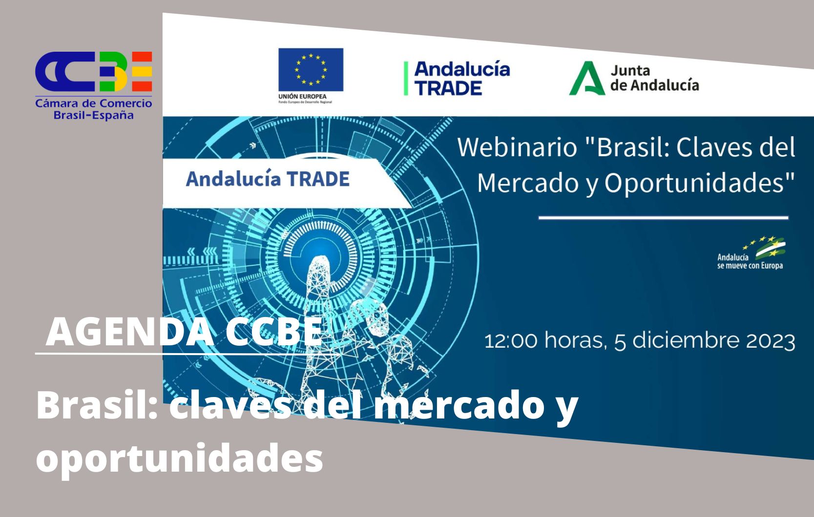 Brasil: Claves del Mercado y Oportunidades