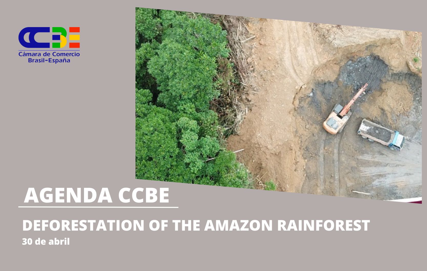 Deforestation of the Amazon rainforest