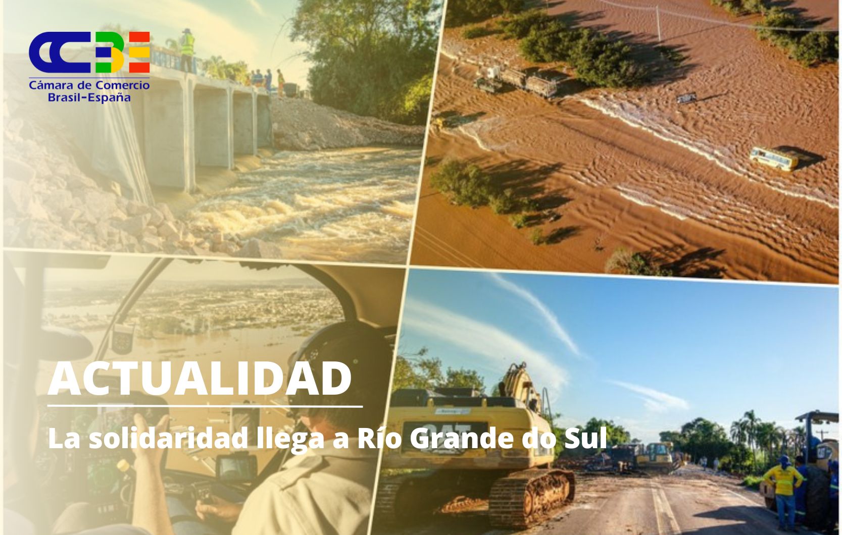 ONGs de distintas partes del mundo prestan su ayuda a los damnificados de Río Grande do Sul