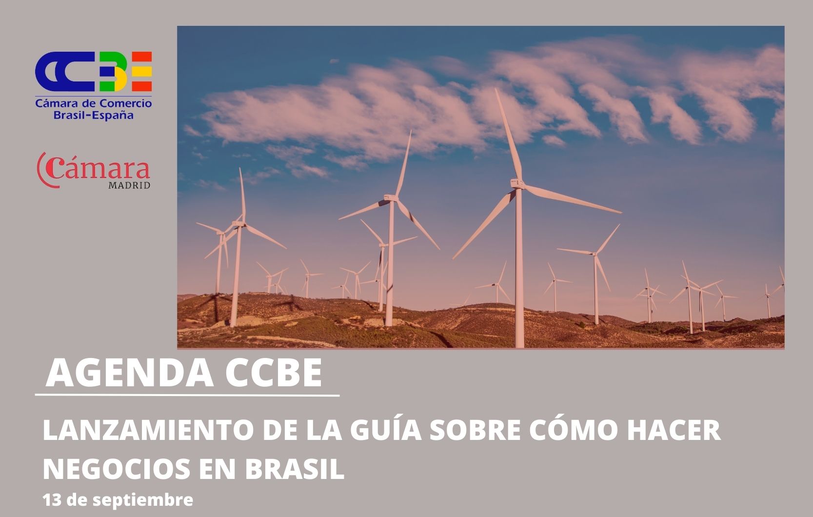 Lanzamiento de la Guía sobre Cómo Hacer Negocios en Brasil