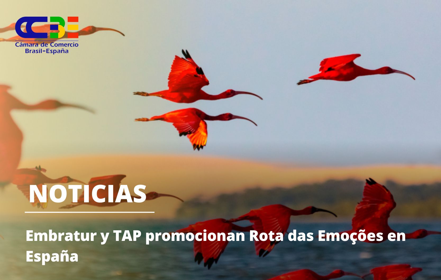 Embratur y TAP promocionan Rota das Emoções en España