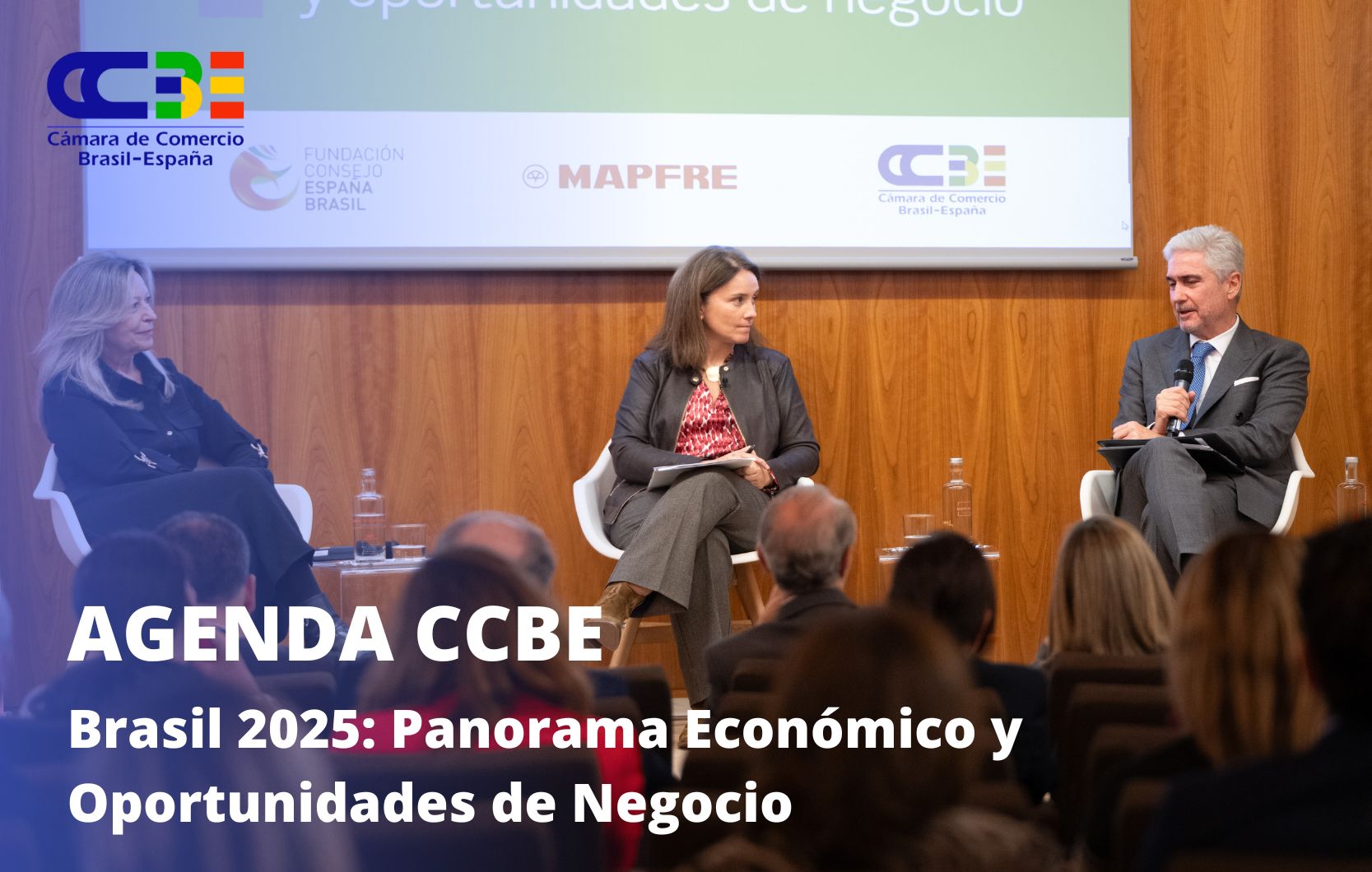 Brasil 2025: Panorama económico y oportunidades de negocio