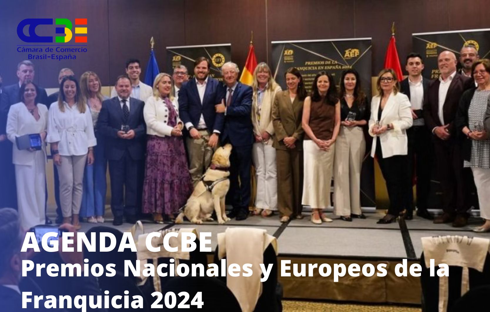 Premios Nacionales y Europeos de la Franquicia 2024